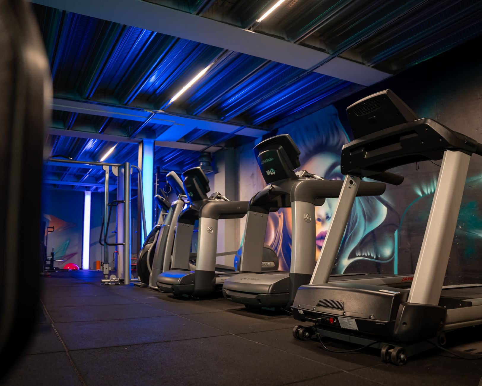 row of treadmills in gym