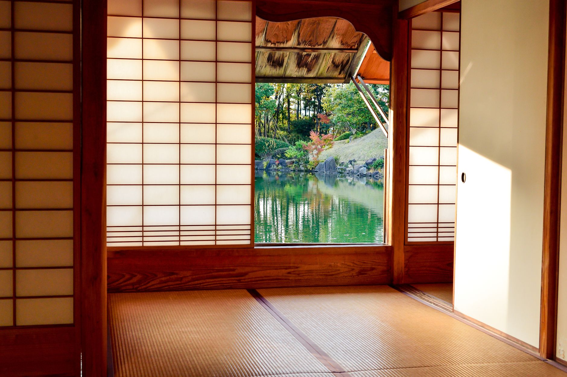 brown wooden door near body of water